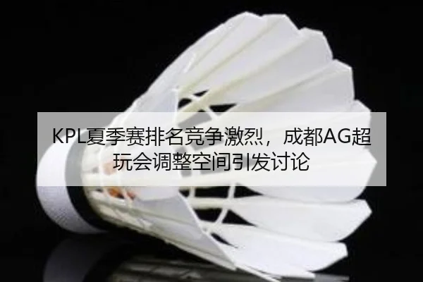 xia-ji-sai-pai-ming-jing-zheng-ji-lie-cheng-du-chao-wan-hui-tiao-zheng-kong-jian-yin-fa-tao-lun-2-640.jpg
